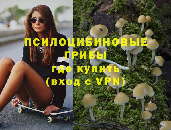 экстази Няндома