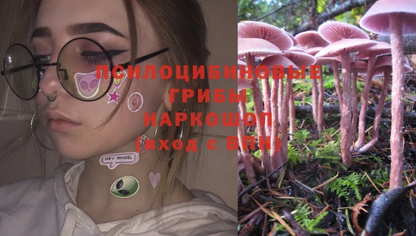 spice Нягань