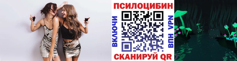 наркота  Кириши  Псилоцибиновые грибы мухоморы 