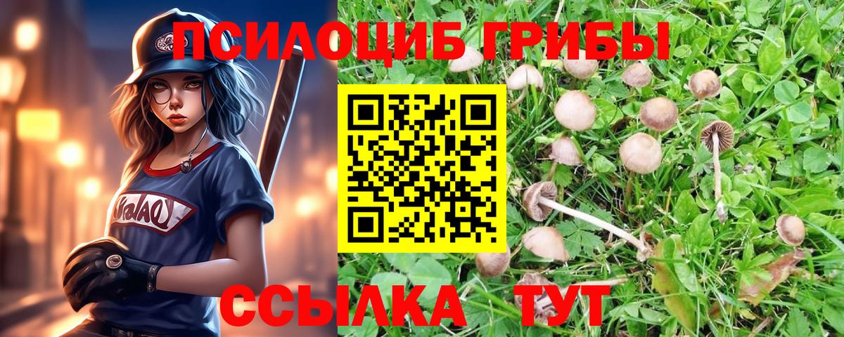 Галлюциногенные грибы GOLDEN TEACHER Кириши